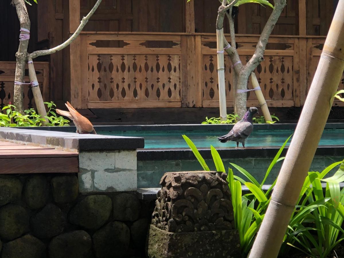 Melati Bali Homestay Canggu Extérieur photo