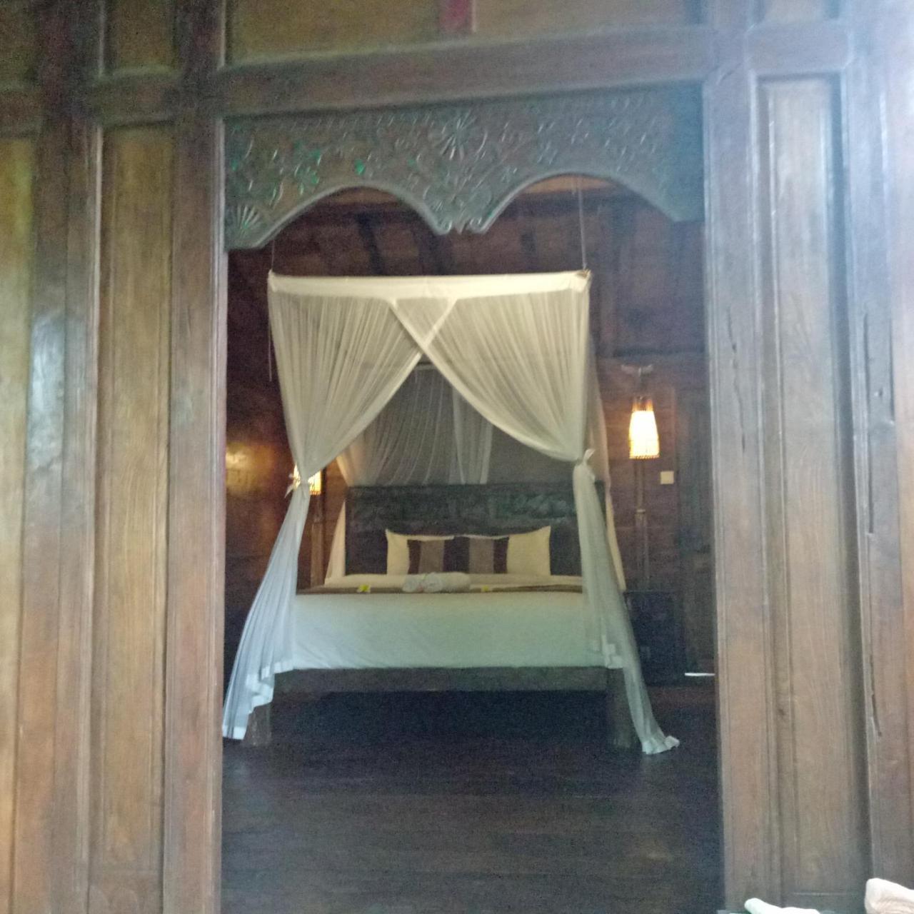 Melati Bali Homestay Canggu Extérieur photo